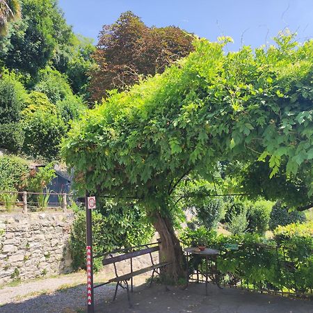 Villa Antonella, App. Vittoria Tavernerio Exteriör bild